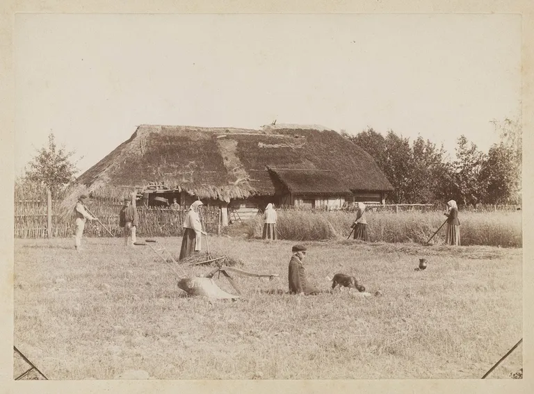Talutööd Randivälja külas Kolmetarga talus. 1887.
