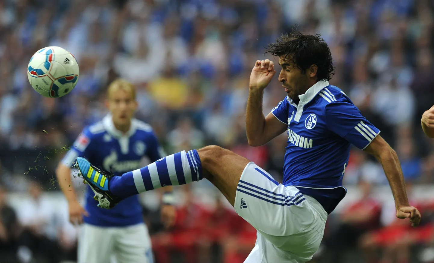 Raul