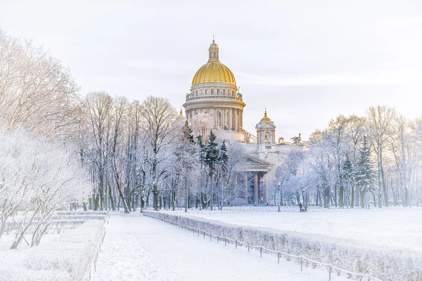 Фото статьи