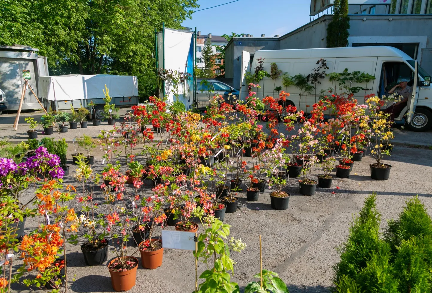 Laupäeval saab sisseoste teha Põhjaranniku laadal. Foto on illustreeriv.