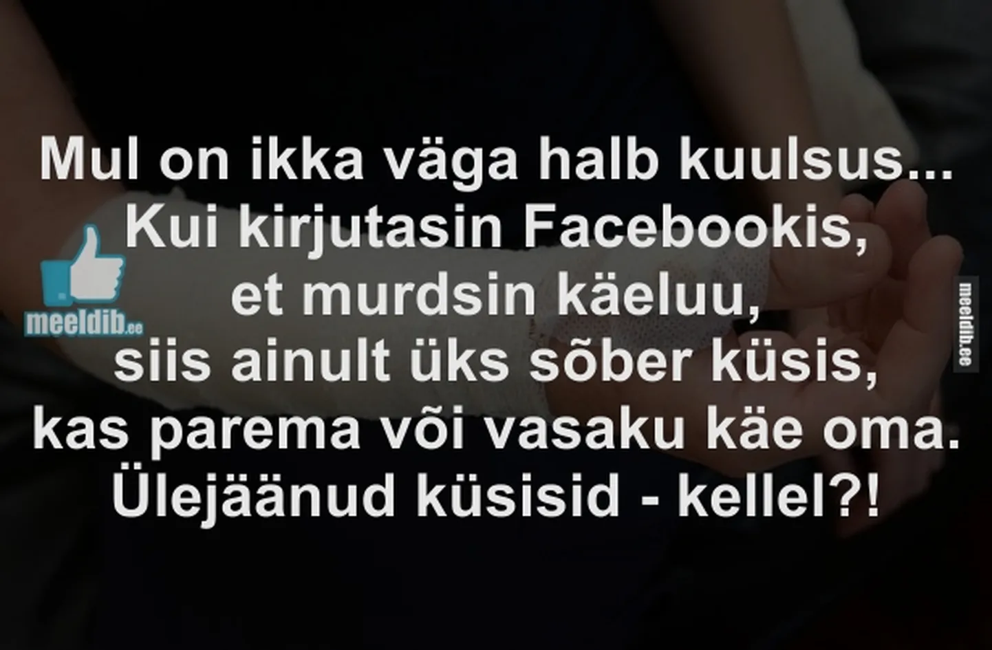 Artikli foto