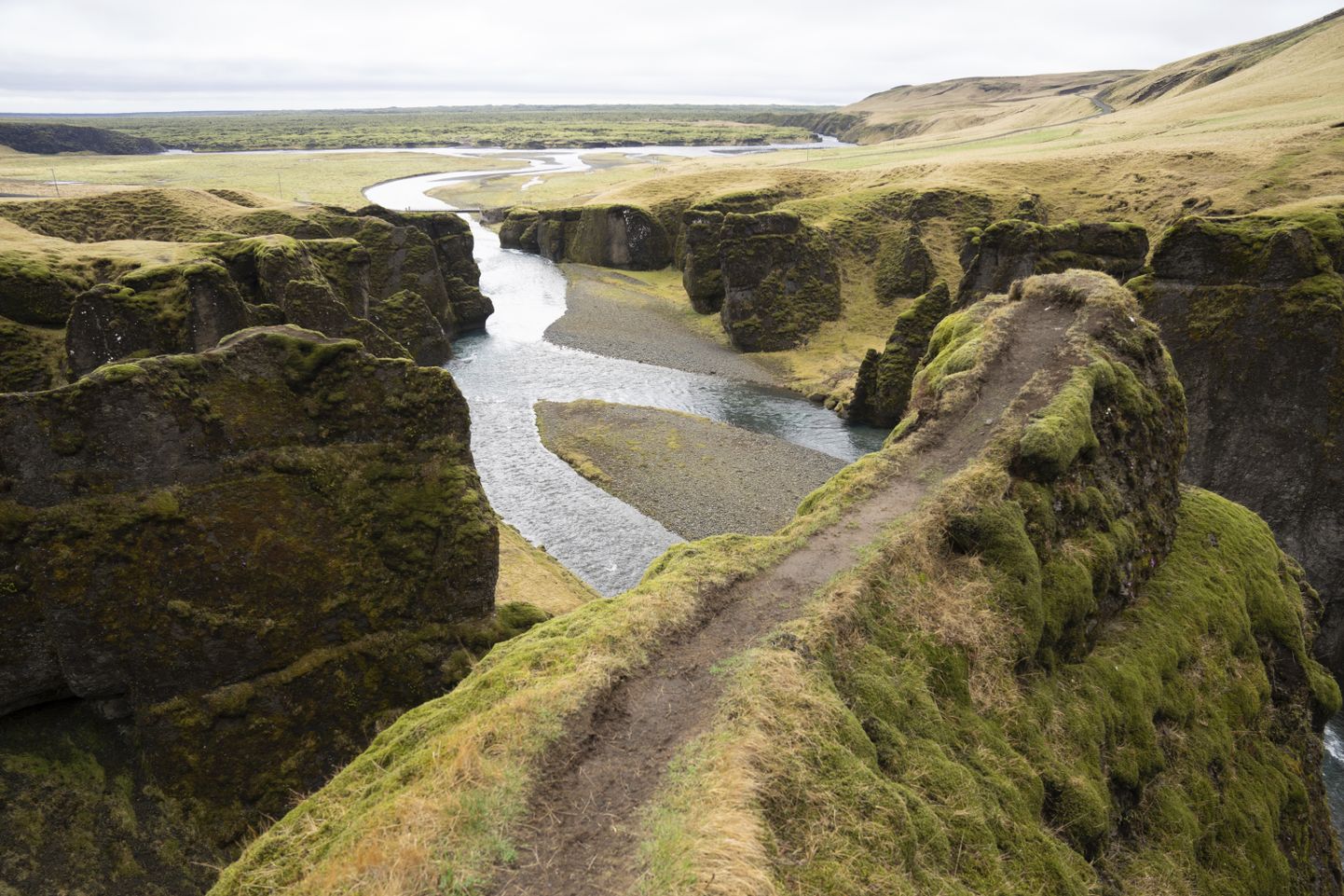 Fjaðrárgljúfuri kanjon Islandil.