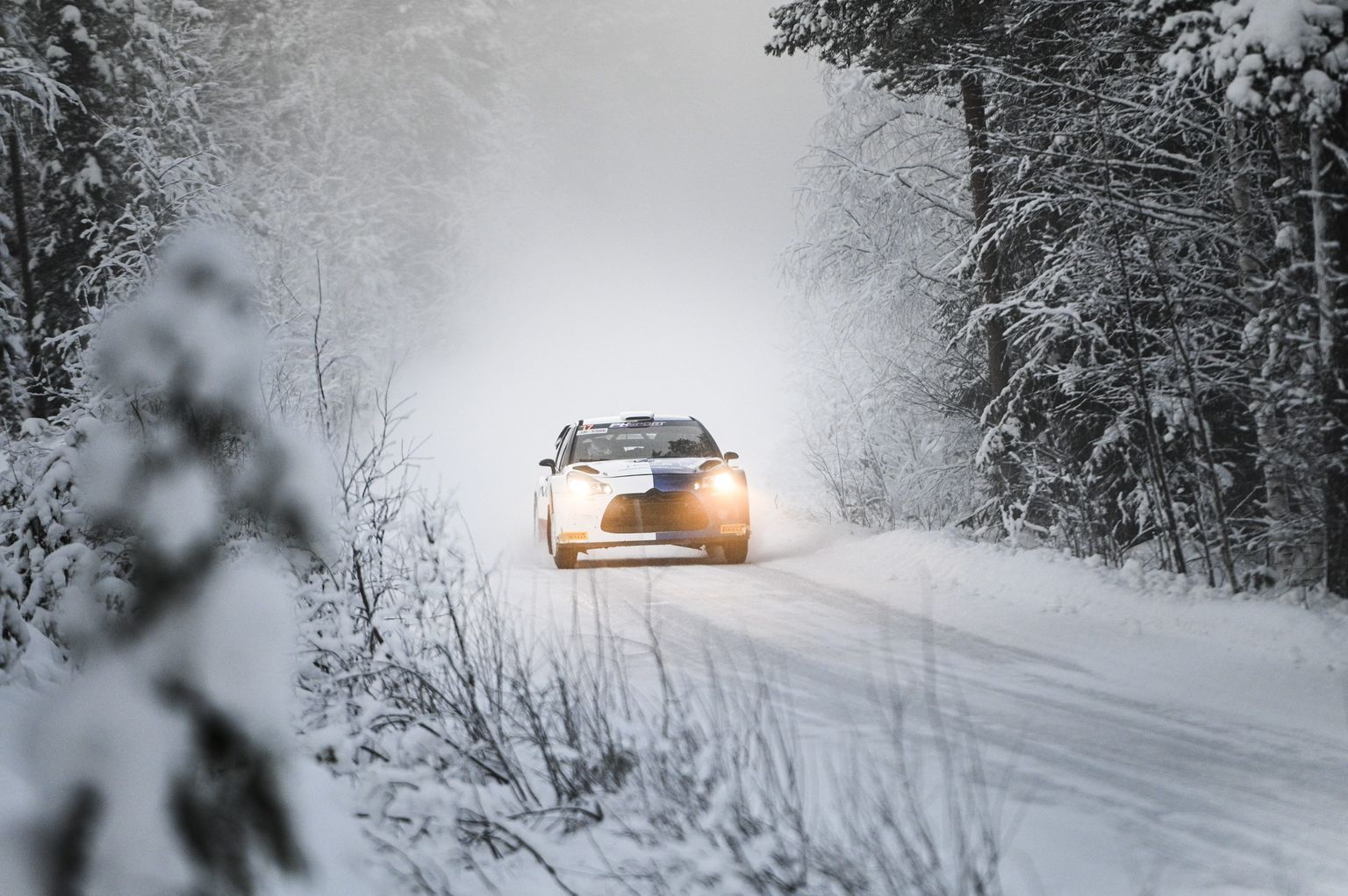 Arctic Rallyl sõitjad ennast tagasi hoidma ei pea.