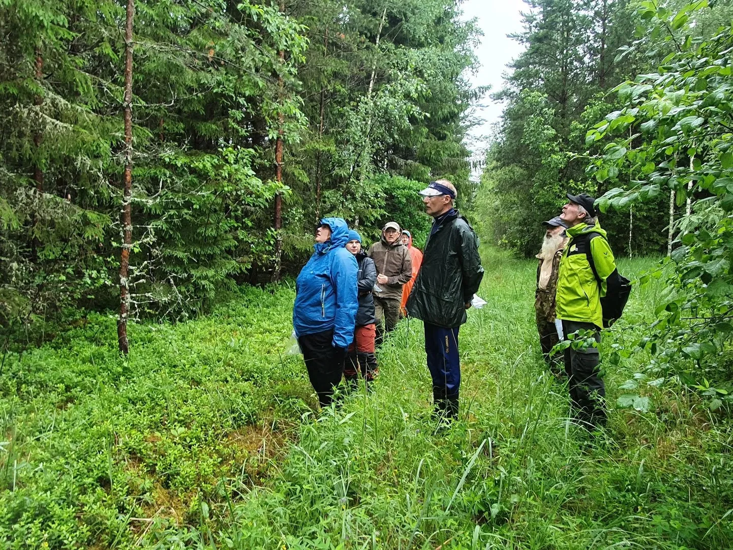 Metsamajandajate konkursi komisjon leidis, et metsaomanikud panustavad nii metsade uuendamisse ja segametsade kujundamisse, maaparandustöödesse kui ka metsa kõrvalkasutuse võimaluste arendamisse.