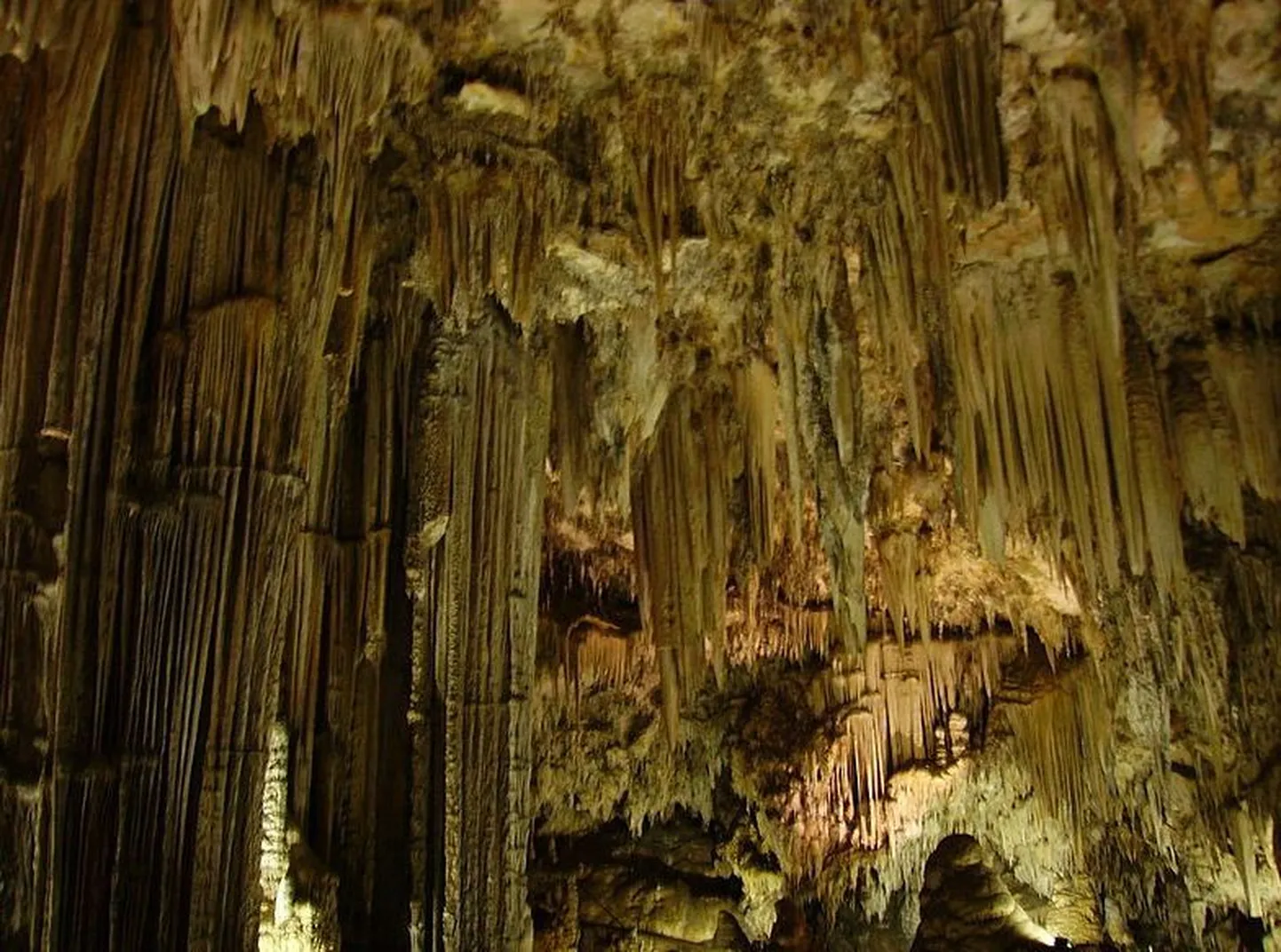 Hispaania Nerja koobastest leiti neandertaallaste maalingud