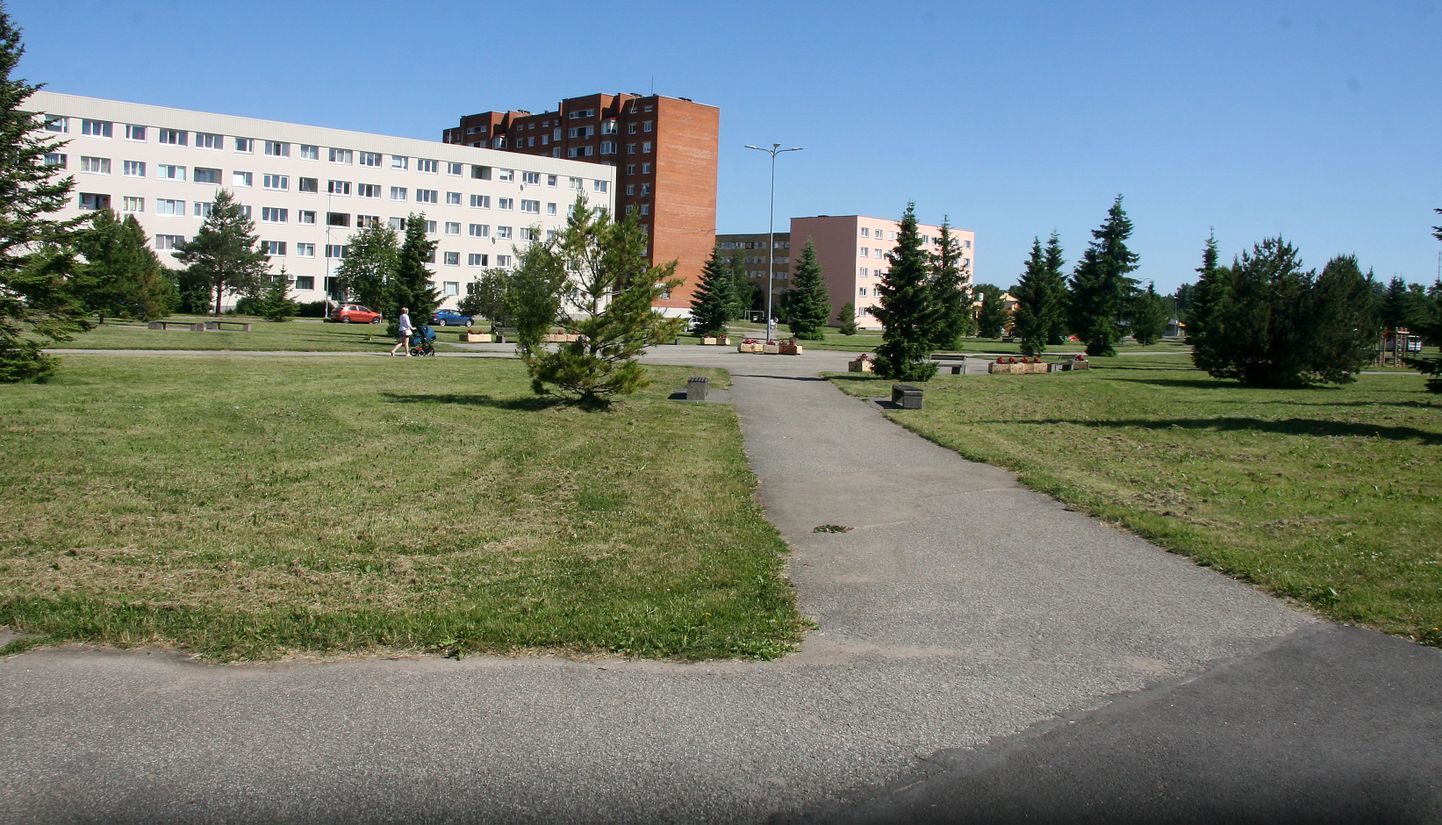 Хвойный сквер, заложенный в Ахтме более десяти лет назад, после строительства современной трассы для смелых велосипедистов станет местом притяжения для молодежи.