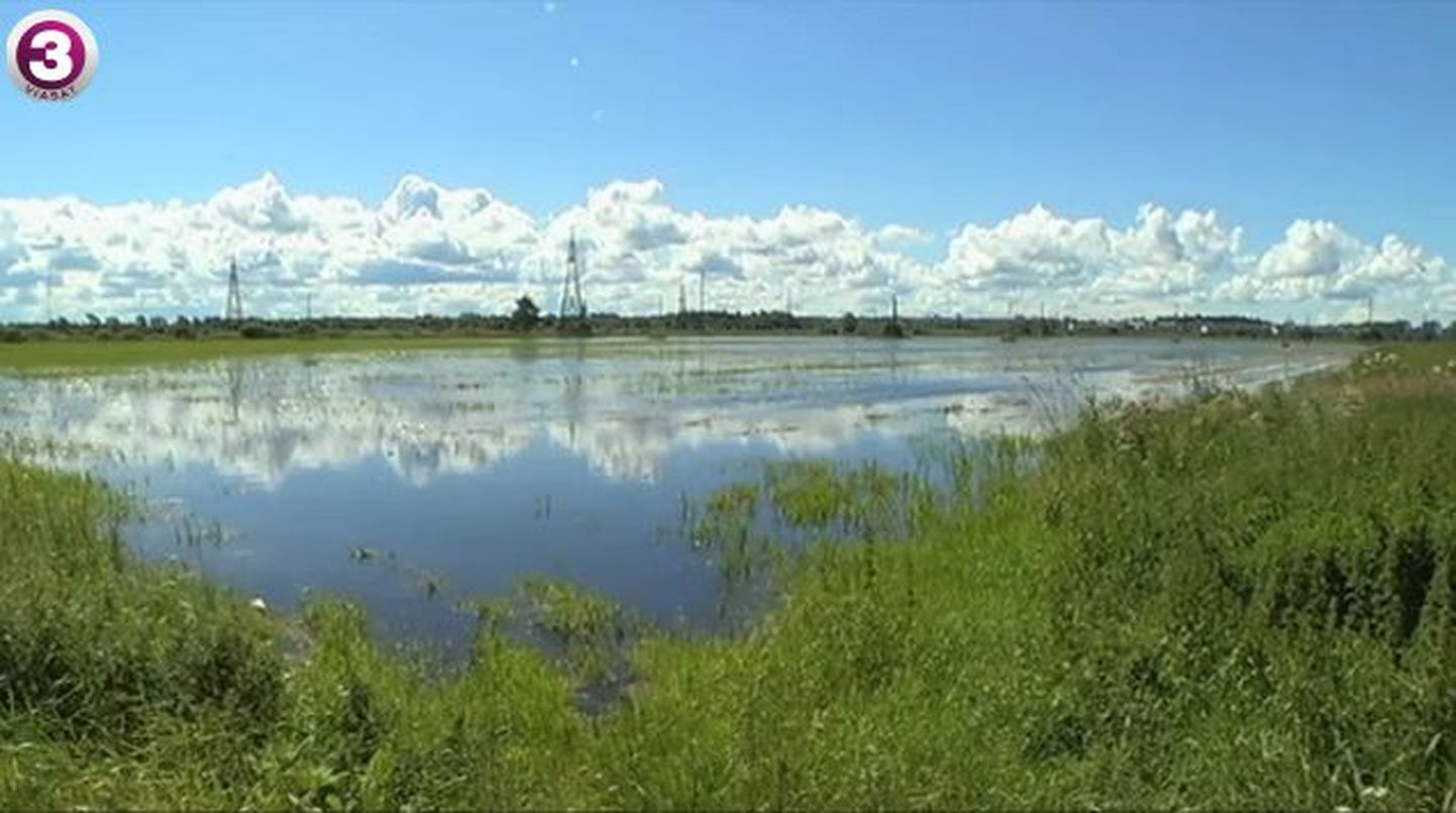 Talumehed süüdistavad Eesti Energia tammi üleujutuste tekitamises.