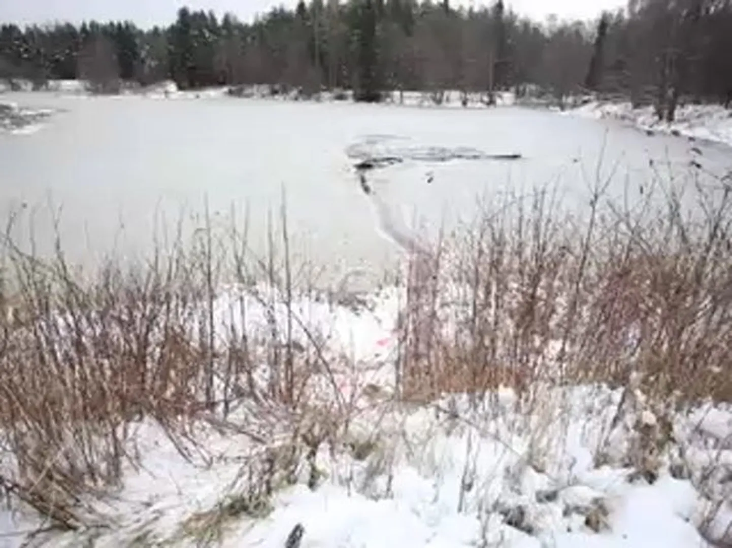 Järvejää.