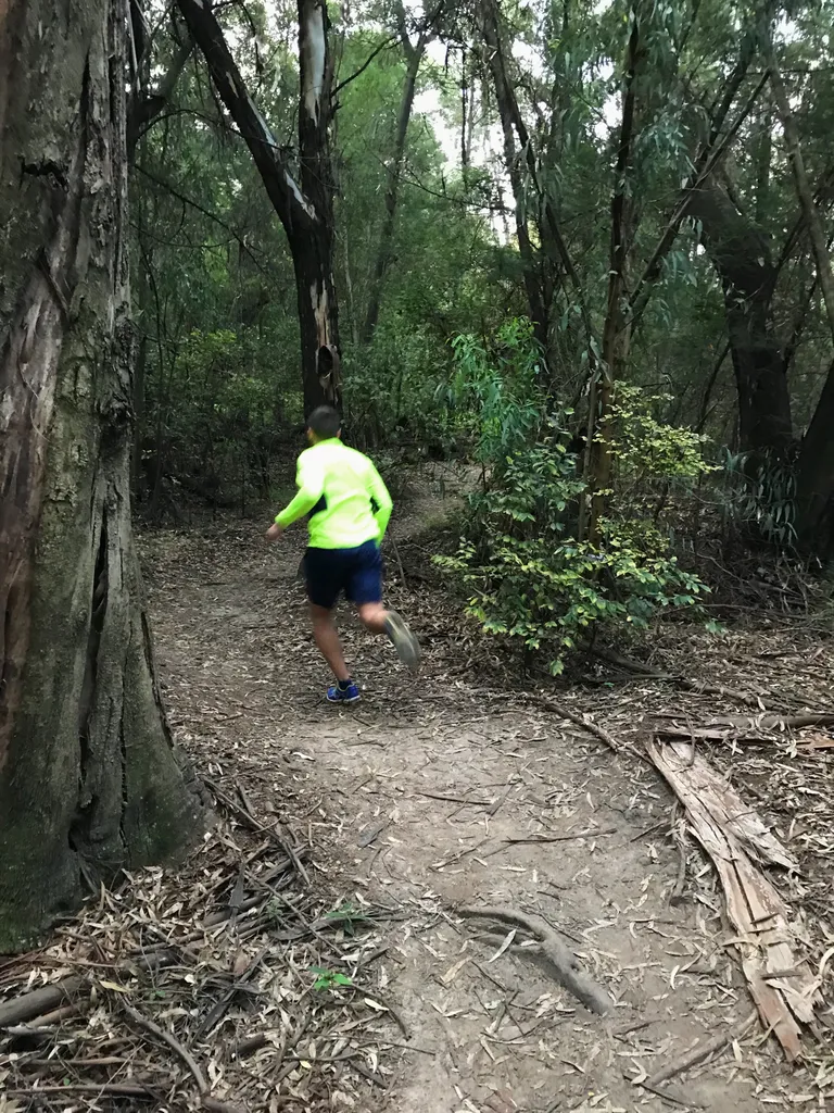 Aafrika metsas tuleb turvalisuse kaalutlustel teistega sammu pidada.