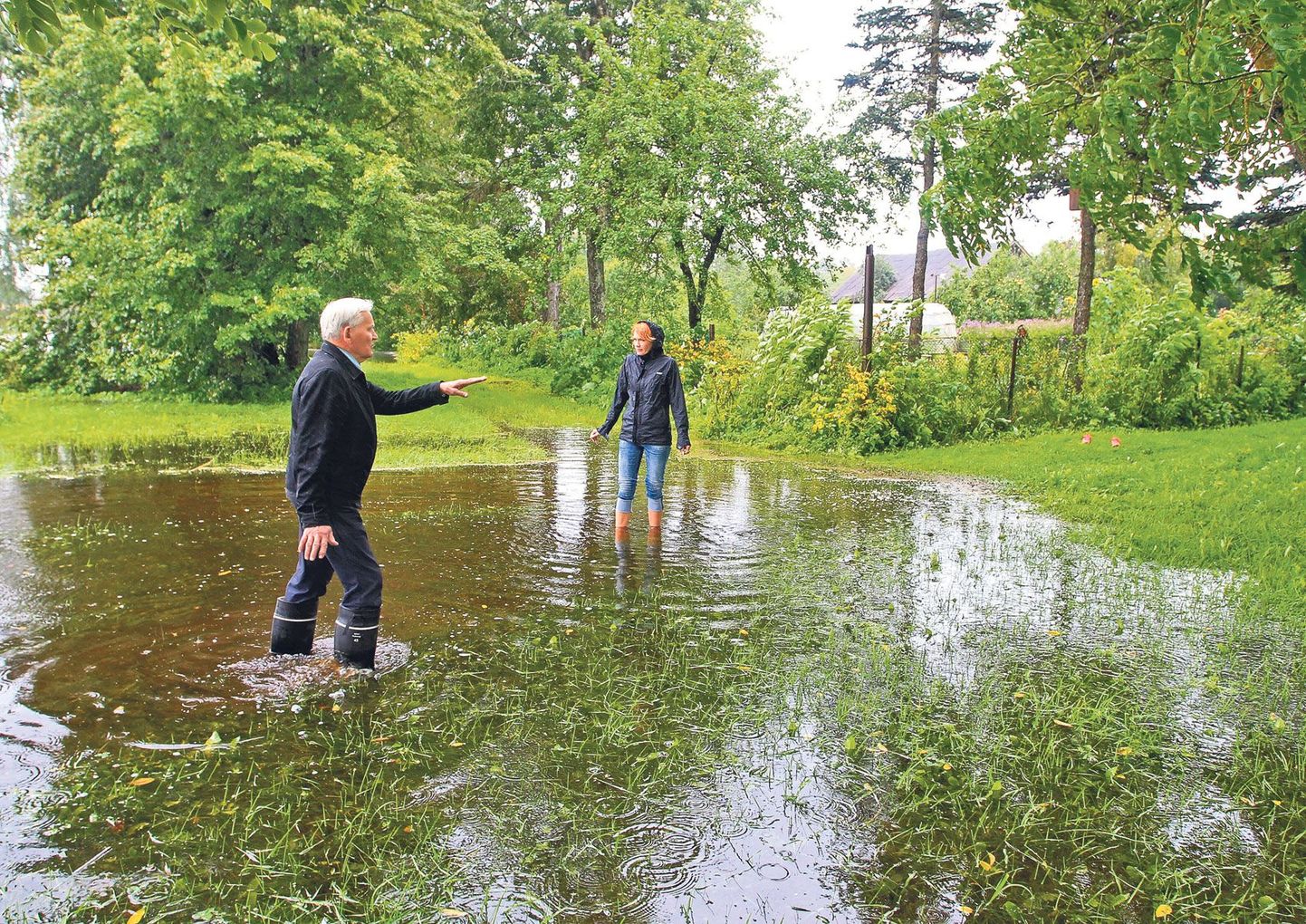 Olavi Annuk ja tema tütar Merike Annuk pidid Jõgeval oma viljapuuaias jalutamiseks kummikud jalga panema. Üle kallaste tõusnud Pedja jõe vesi ulatus seal põlvini.