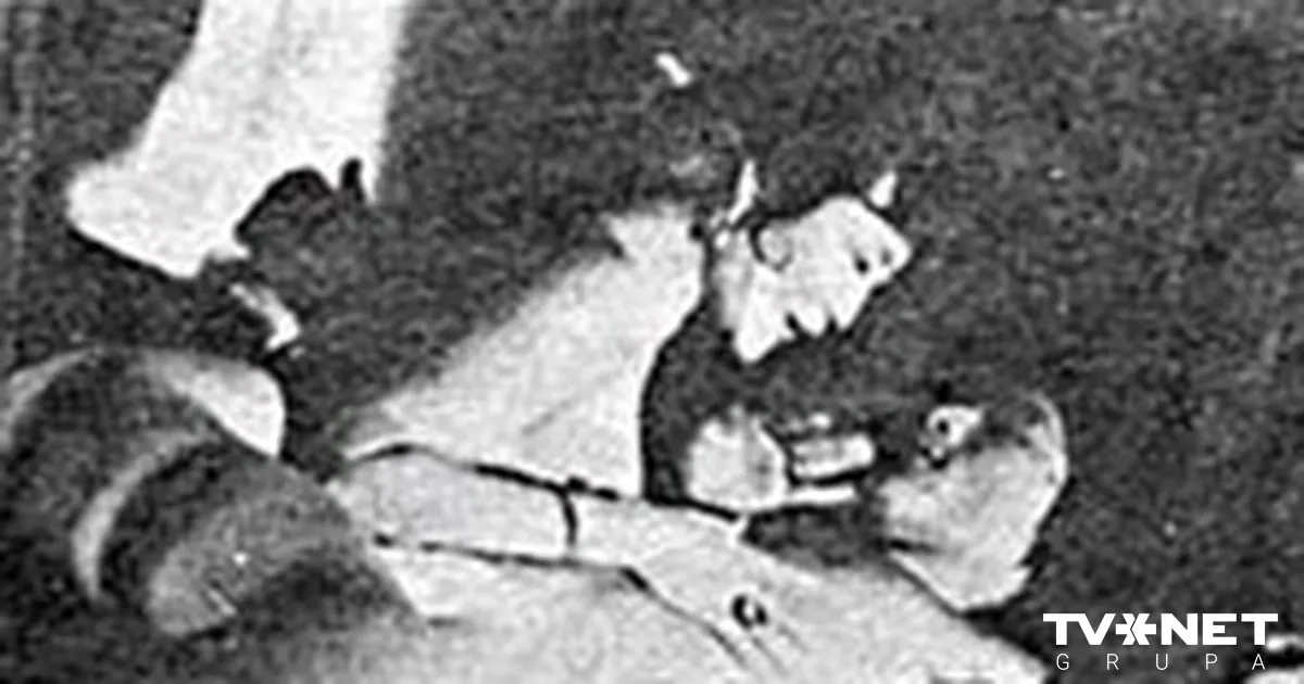 Үлкен Дик HD