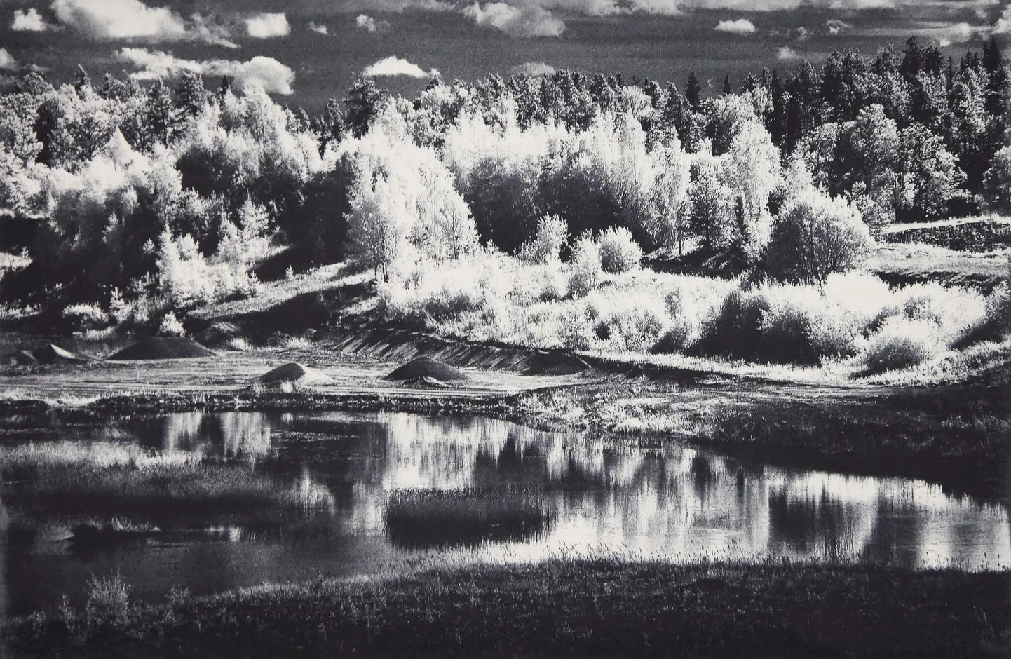 Ove Maidla näitusel «Soovide täitumine enne rukki õitsemist» on teiste tema teoste hulgas fotogravüür «Tardunud maastik».