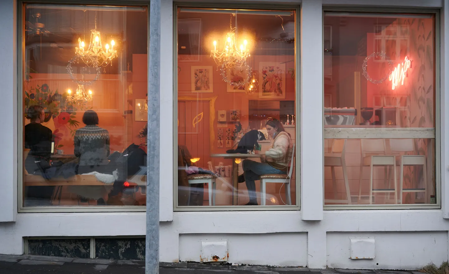 Kohvik Islandil.