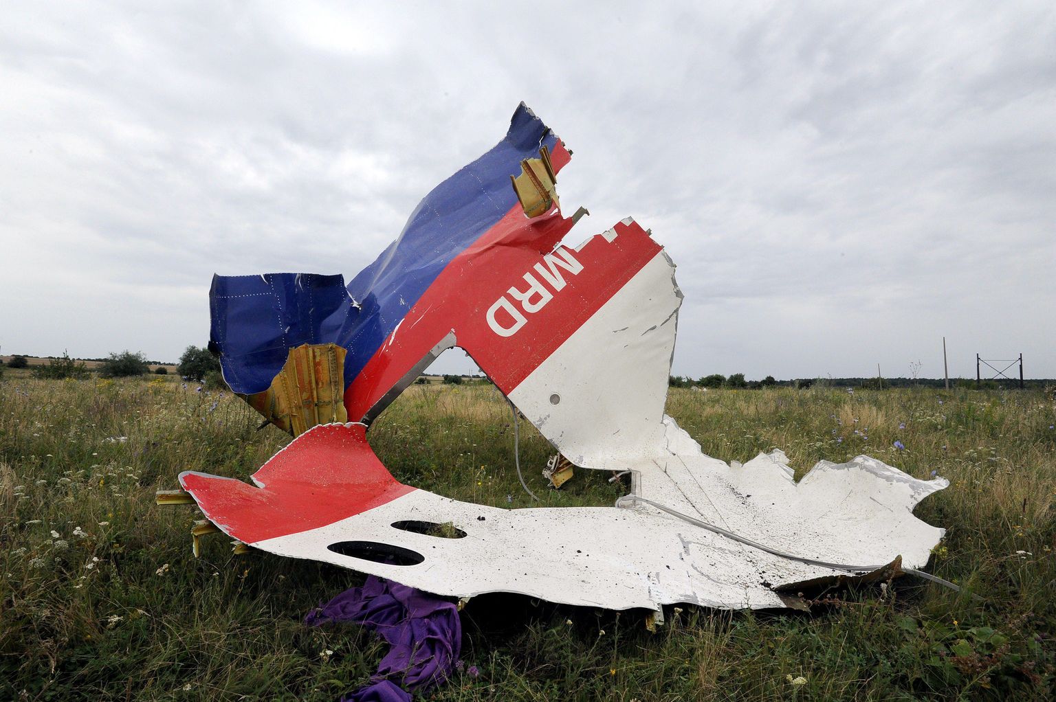 Обломки самолета Boeing 777 авиакомпании Malaysia Airlines, разбившегося в Донецкой области.