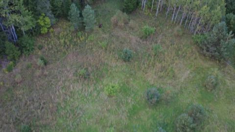 VIDEO ⟩ Kadrina vallas Udrikul jäid droonivideole tublid mõmmid
