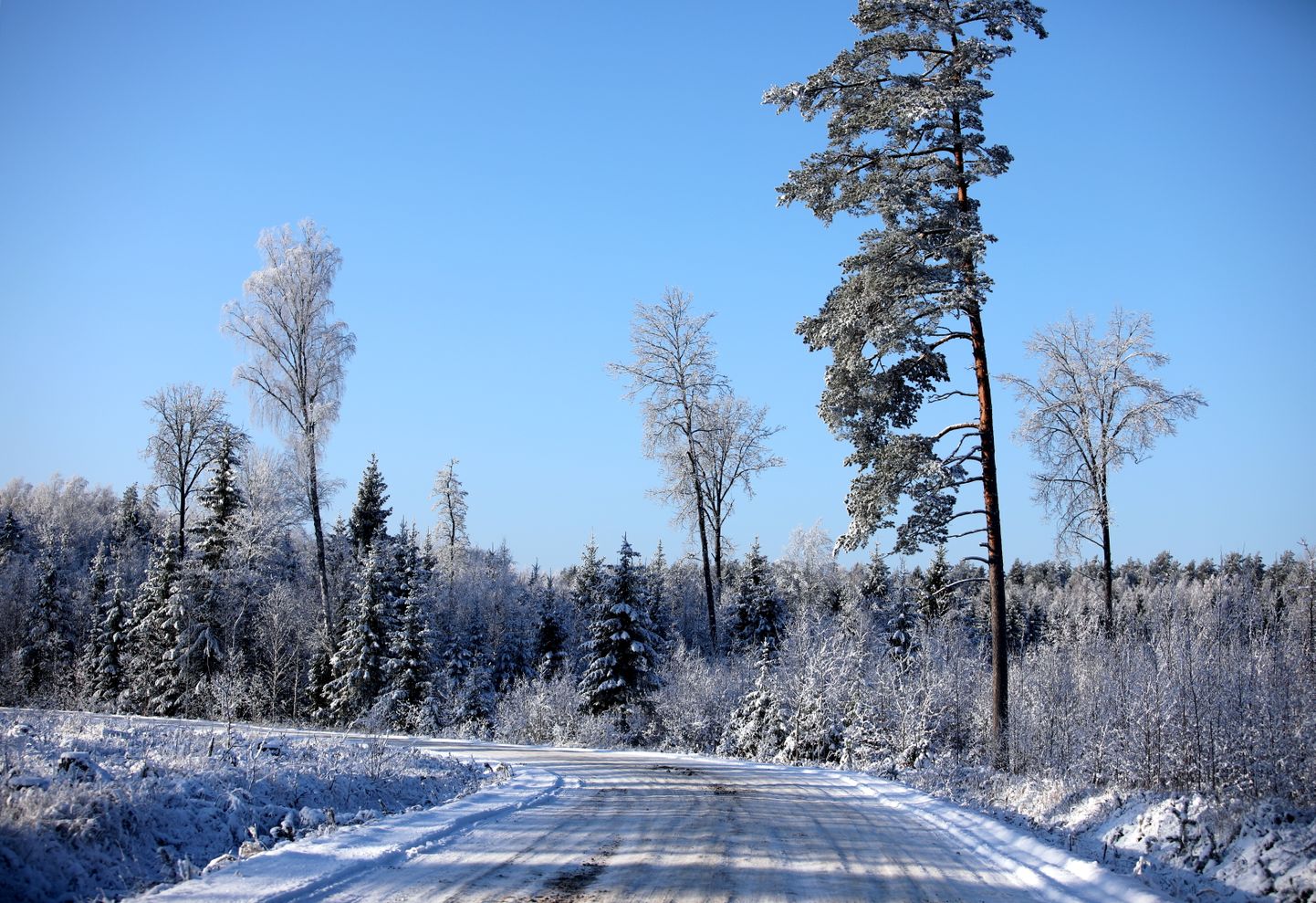 Проселочная дорога зимой