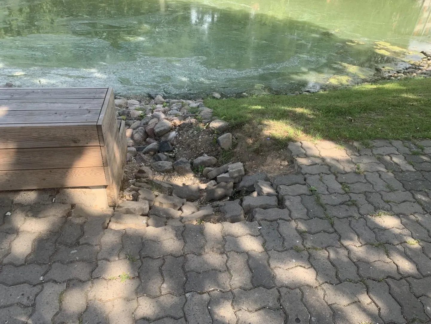 Pärast ohtrat sadu avanes Valgas Säde pargis selline vaatepilt.