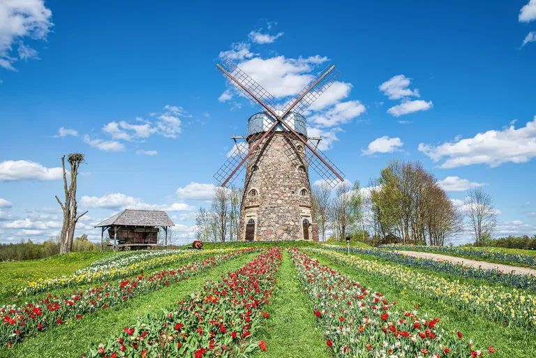 Фото статьи