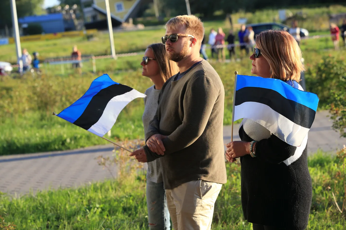 Eesti lipud.