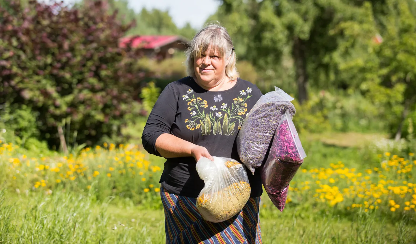 Karepa ravimtaimeaia perenaine Katrin Luke oma suvise värske taimesaagiga.