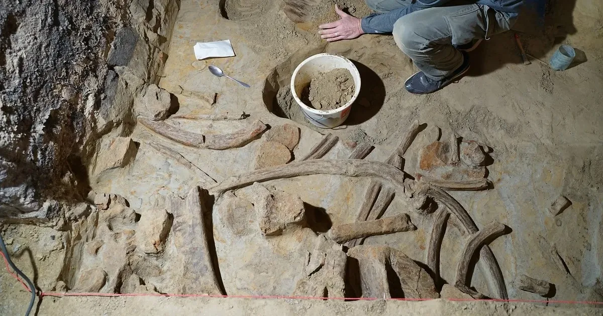 Descoperire surprinzătoare ⟩ Un bărbat descoperă trei schelete uriașe în crama lui