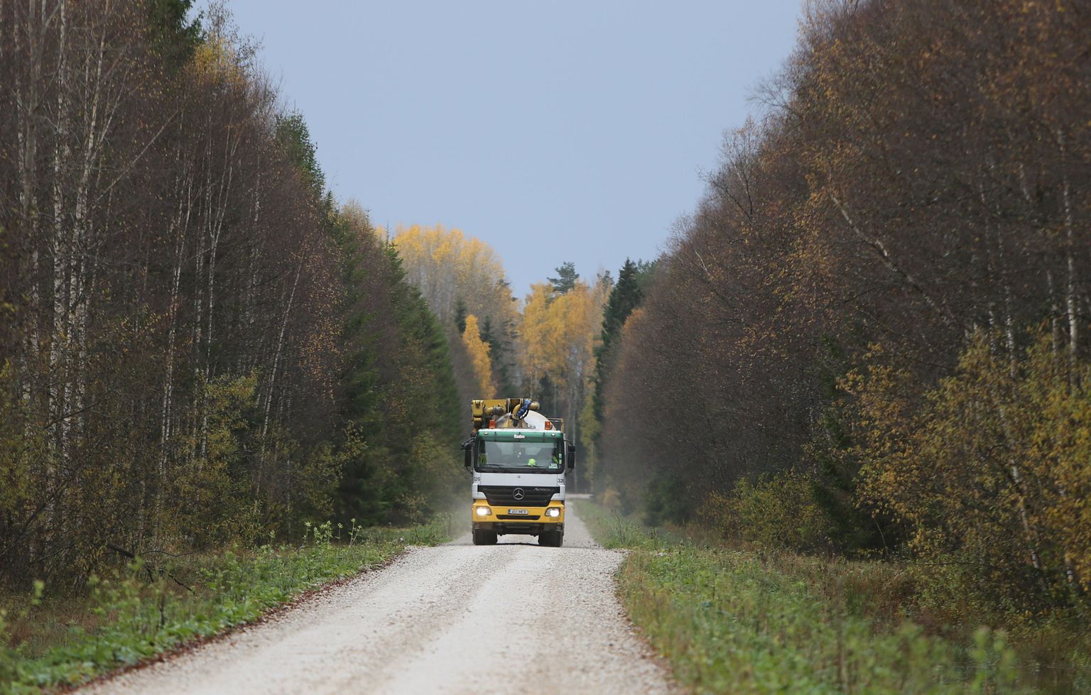 RMK lasi KIKist saadud ligi 800 000 euro suuruse toetuse abil põhjalikult remontida ligi 11 kilomeetrit pika Laeva–Palupõhja tee. Nagu näha tänavu oktoobris tehtud fotolt, koguneb killustik tee äärtesse ja nii on liiklemine sel kitsal teel ohtlik.