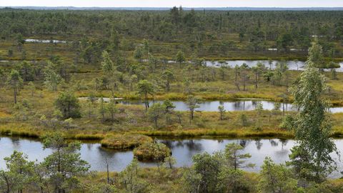 Ķemeru narodni park bo v Smārdē pridobil skoraj hektar zemljišča