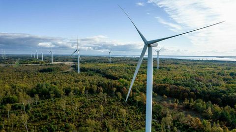 Lõuna-Eesti metsadesse plaanitakse pirakat tuuleparki