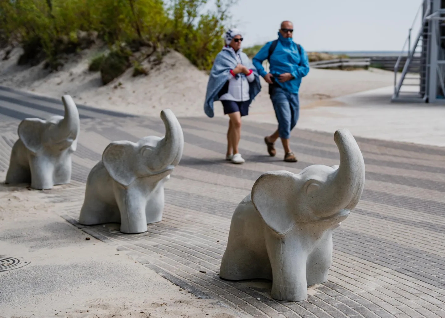 Elevandikujulised teetõkised Pärnus.