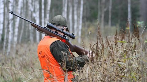 Sigade katkuviirus on muutunud ohtlikumaks ja levib hästi