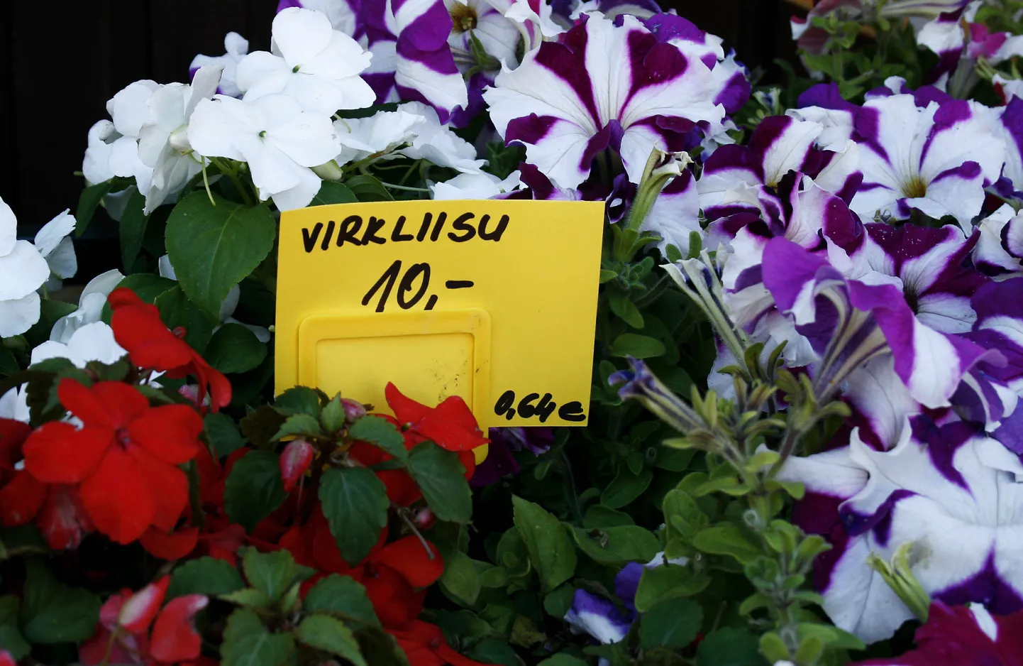 Alates 1. juulist on kohustatud kaupmehed näitama hindu nii kroonides kui eurodes.