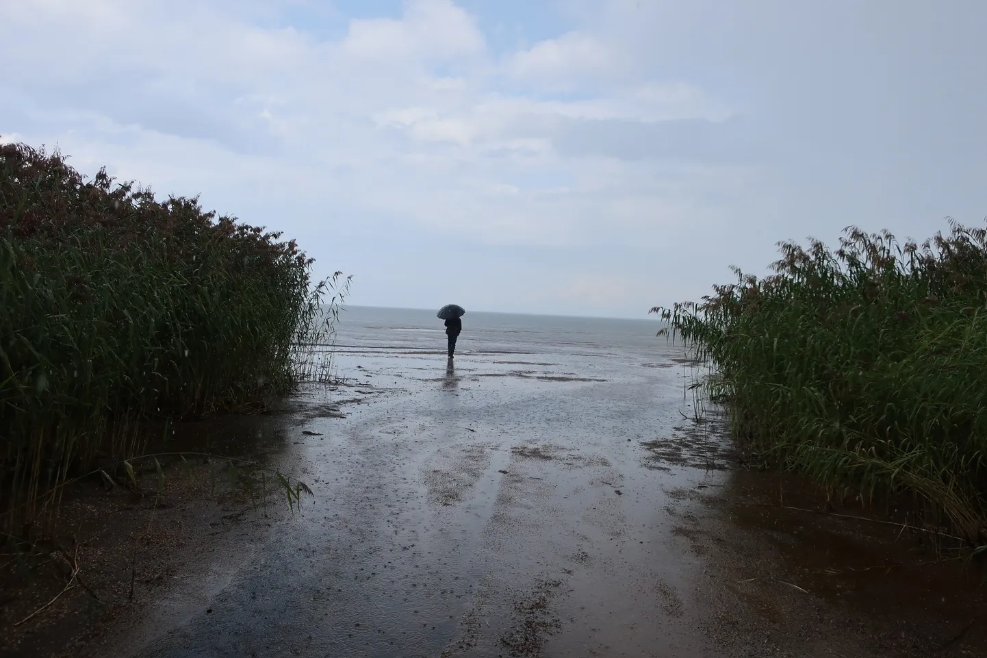 Peipsi järvest enam sel hooajal koha püüda ei või.