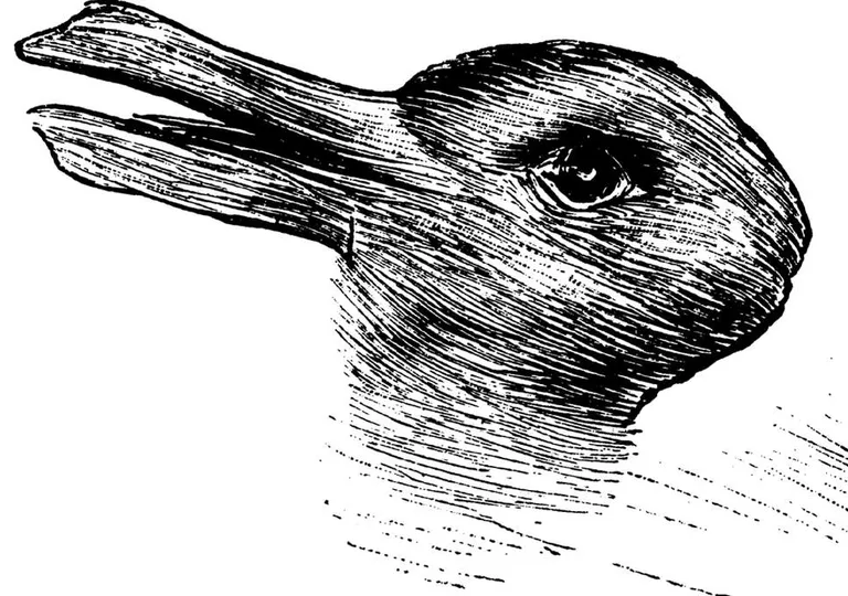 Part-jänese illusioon