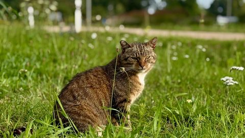 Piektdiena būs karsta