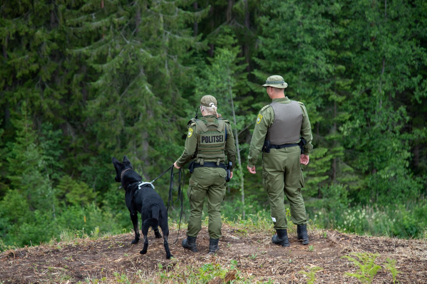 Эстонские пограничники на эстонско-российской границе. Фото иллюстративное.