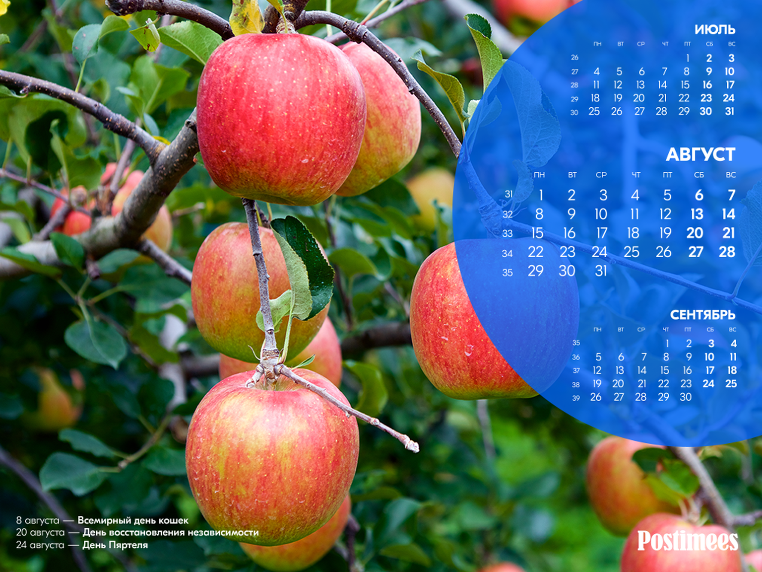 Обои-календарь на август (1024*768).