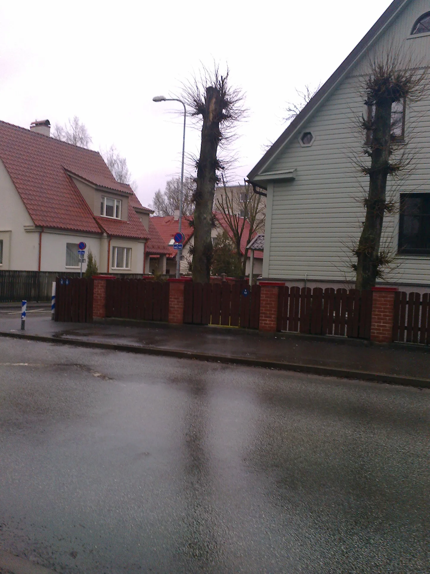 Need kaks tulpa ei ela ega sure. Õigem oleks need ju maha võtta?