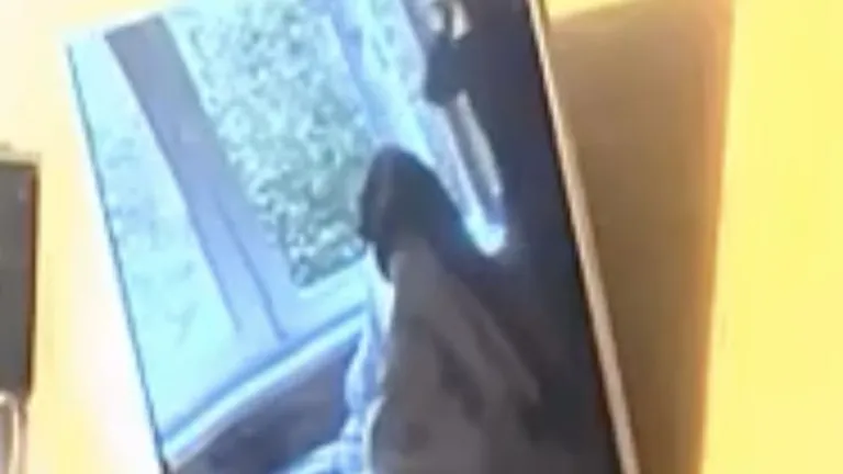 На 55-й секунде видео видно, что штор на окнах больше нет
