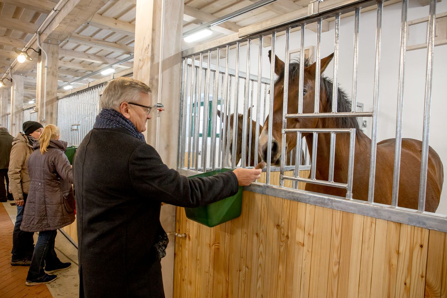 Minister Tarmo Tamm püüdis uuenenud tallis leivaviilu abil hobusega sõbraks saada.