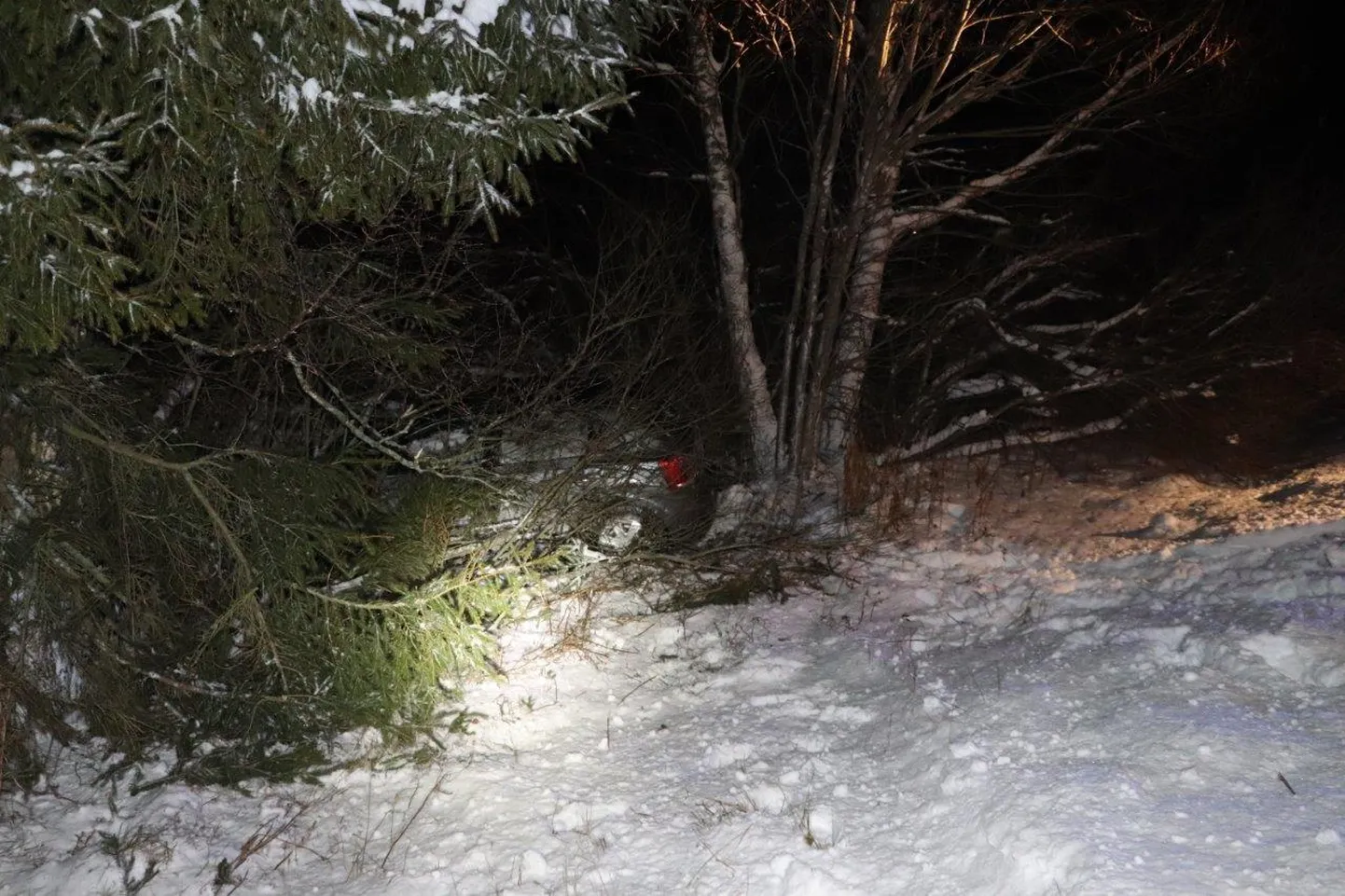 Auto sõitis teelt välja. FOTO: Politsei