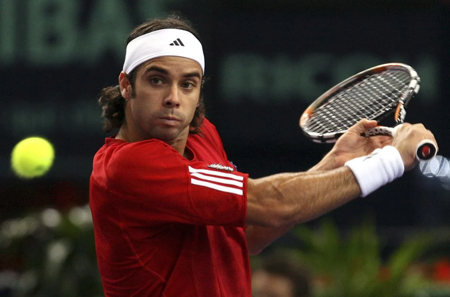Tiili tennisist Fernando Gonzalez