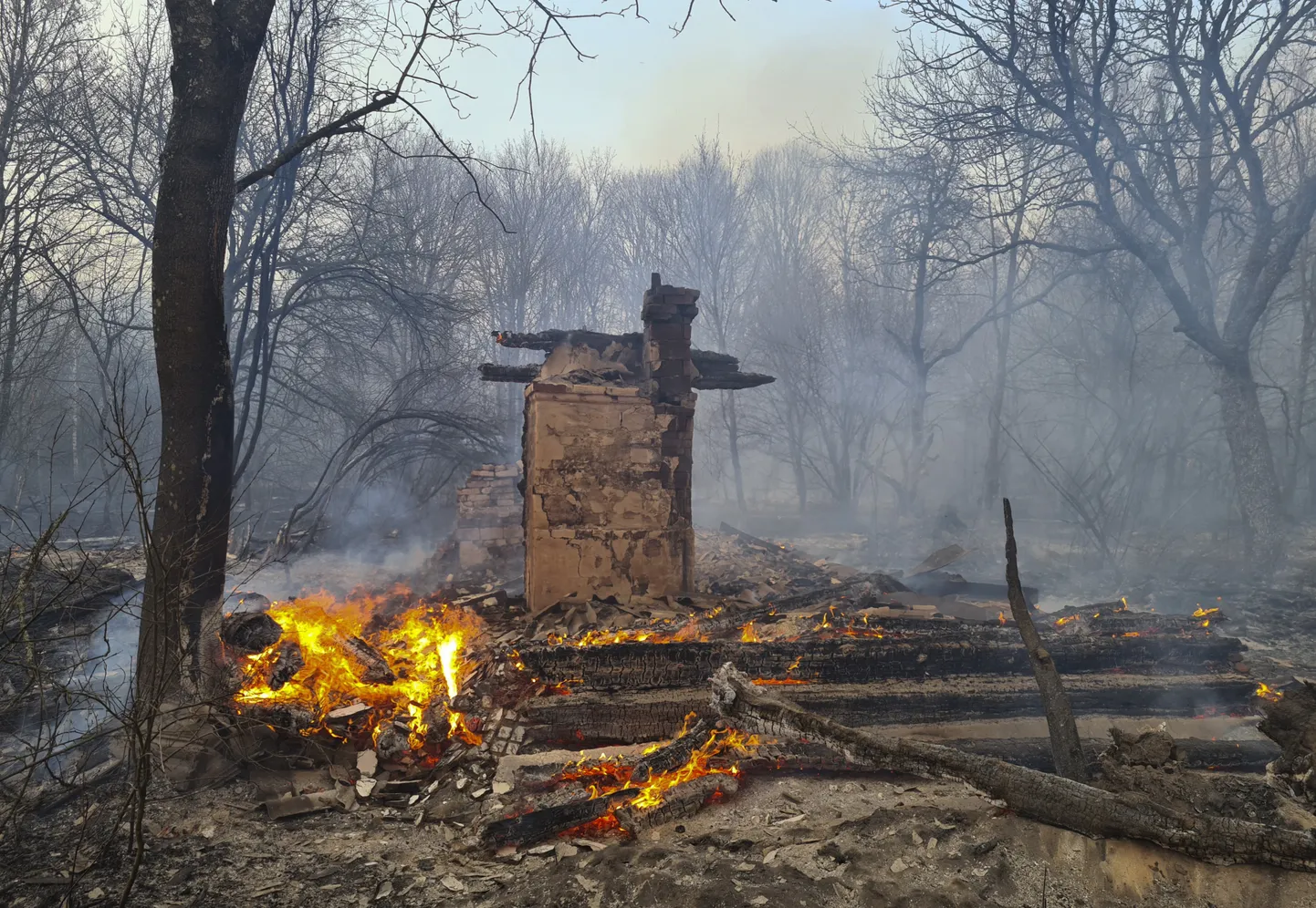Фото статьи