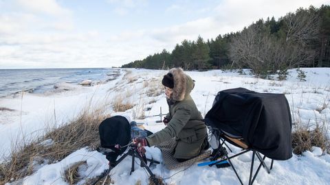 Balti filmipäevadel linastub Anu-Laura Tuttelbergi "Linnud läinud"
