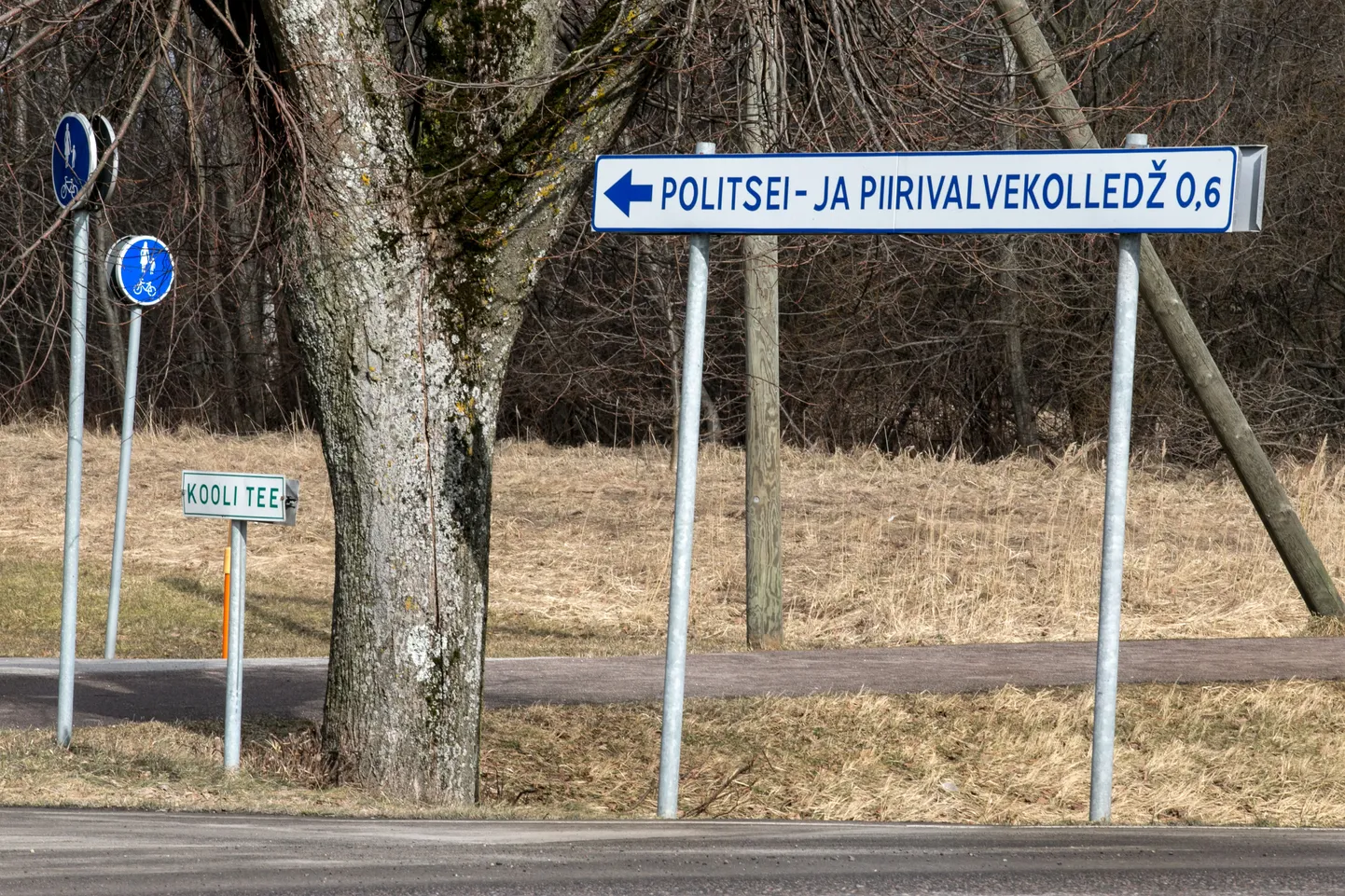 Poliitikute erikomisjon otsustas, et ehkki sisekaitseakadeemia kolib Narva, jääb Paikusel asuv politseikool alles.