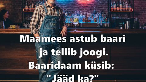 Maamees baaris
