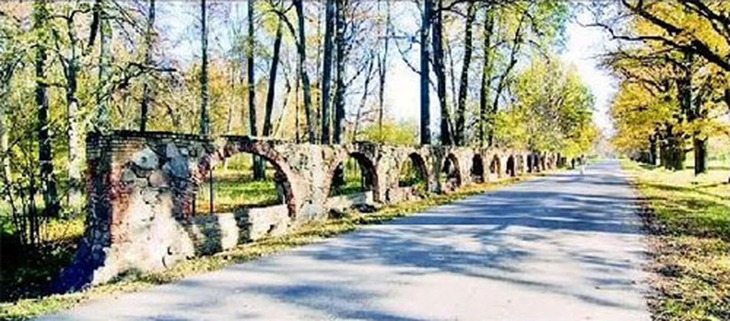 Raksta foto