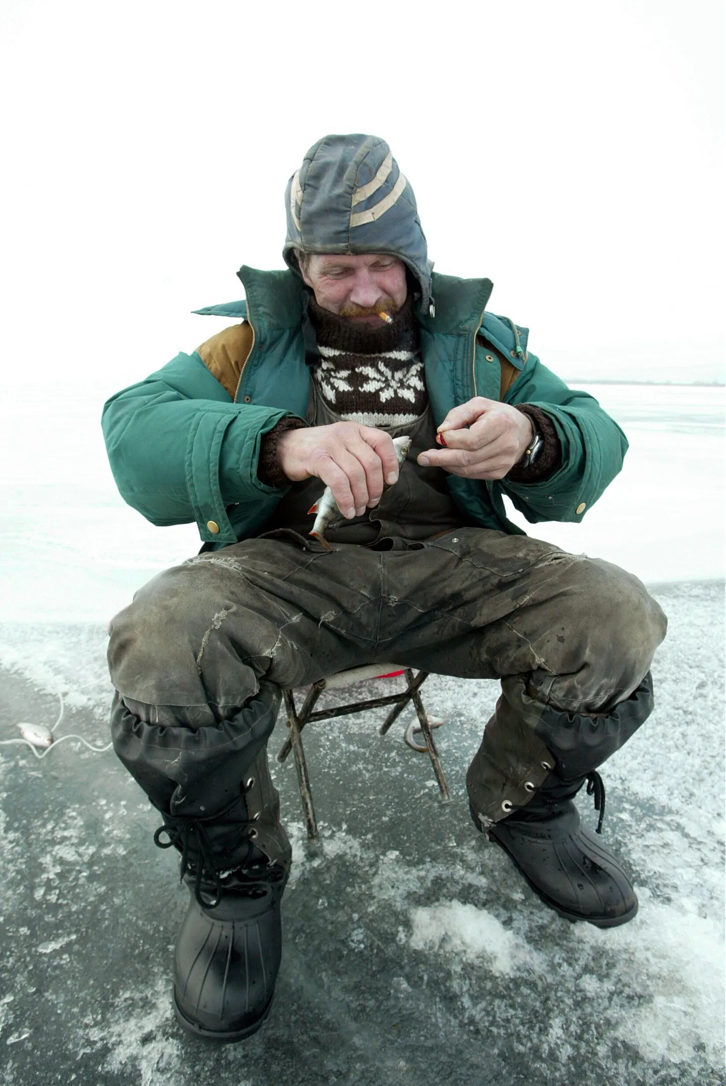 Активный лов на Чудском озере: рыбаки ловят рыбу, политики – рыбаков.