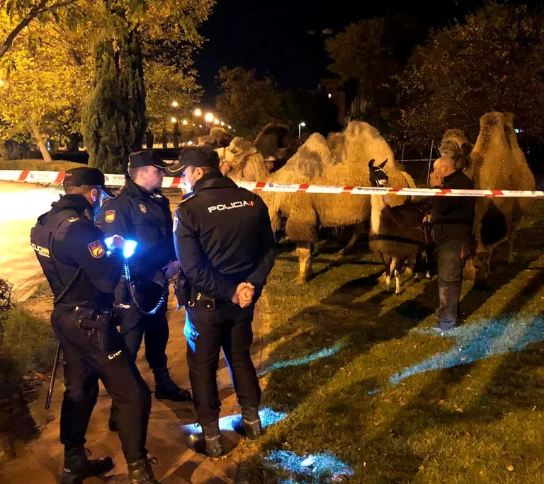 Raksta foto