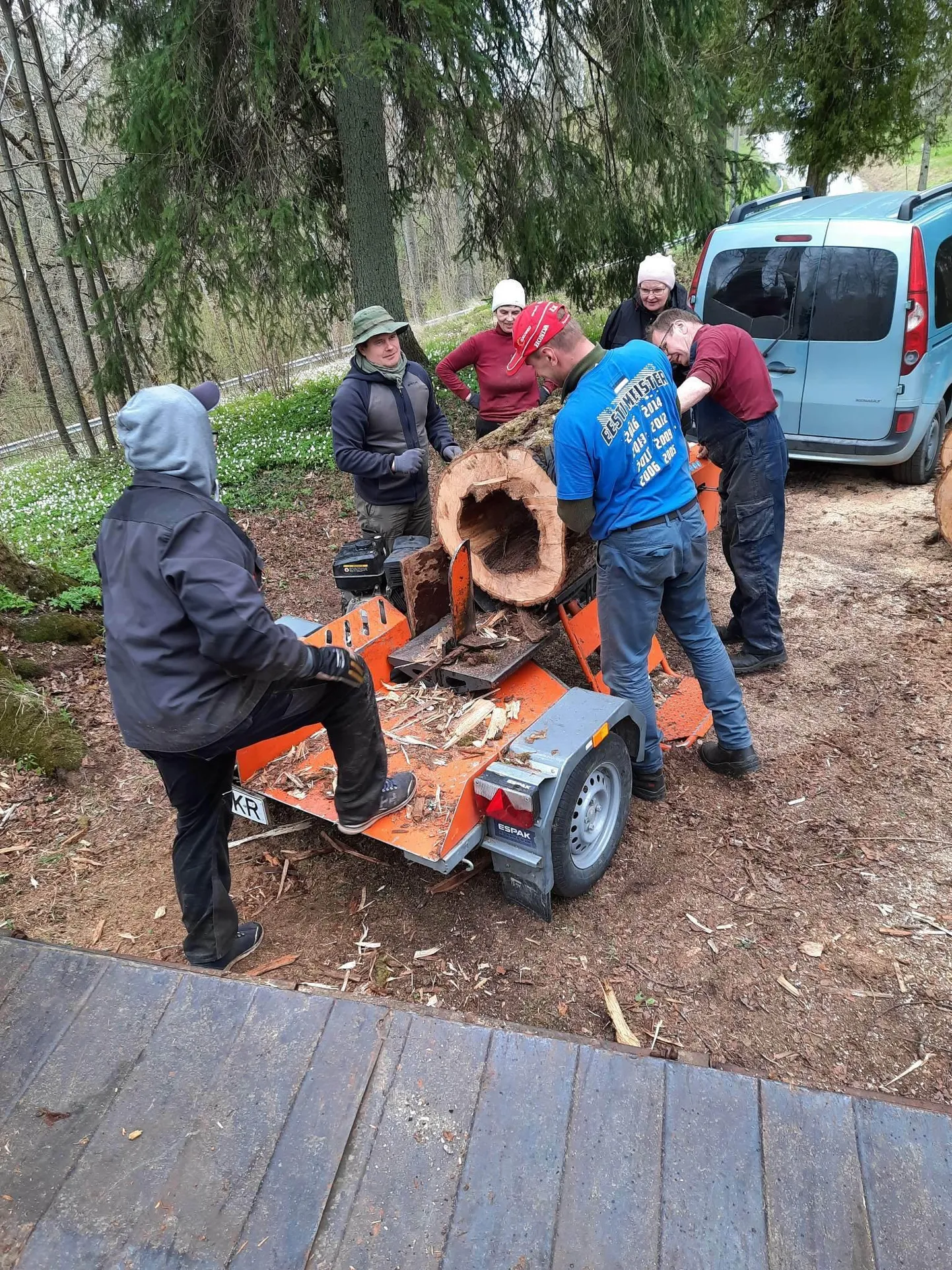 Meeste rammu oli Heimtali mõisa talgutel tänavu kõvasti tarvis, et pärnapakud puulõhkumismasinasse tõsta.