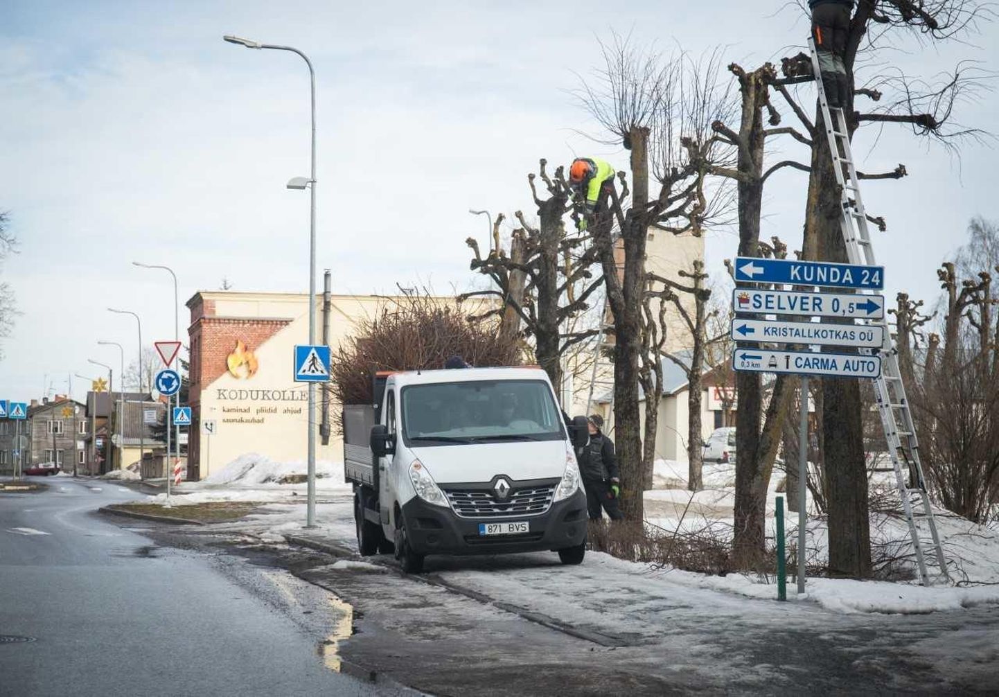 Hoolimata sellest, et talv näitab veel oma jõudu, lõigatakse Rakvere linnas juba puid. Kevad tuleb, ei ole pääsu!
